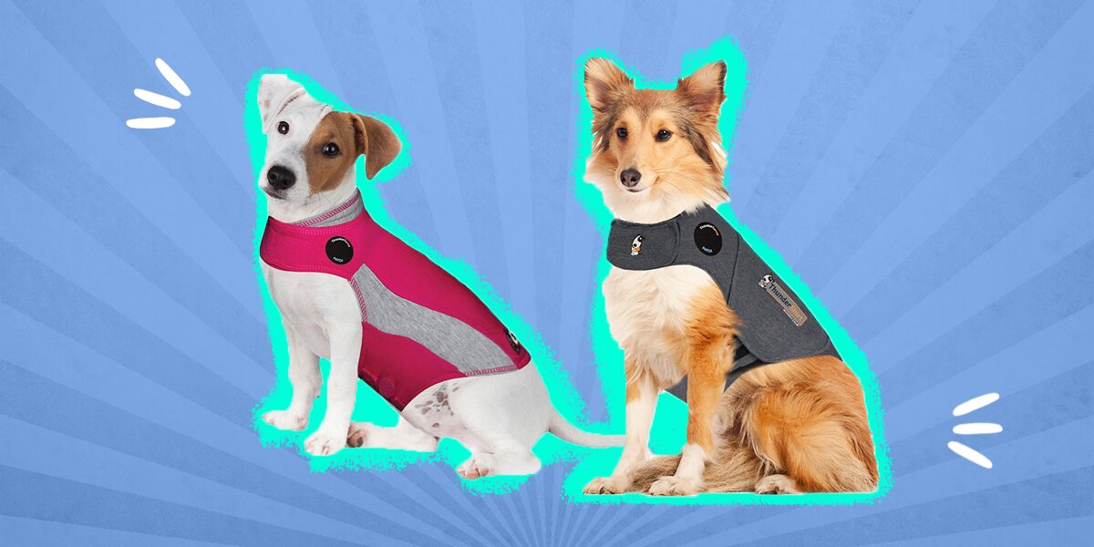 ThunderShirt For Dogs: The 3 Best Options To Help Ease Anxiety - DodoWell -  The Dodo