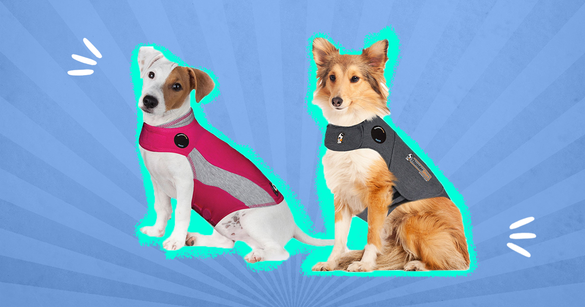 Best thundershirt sale for dogs