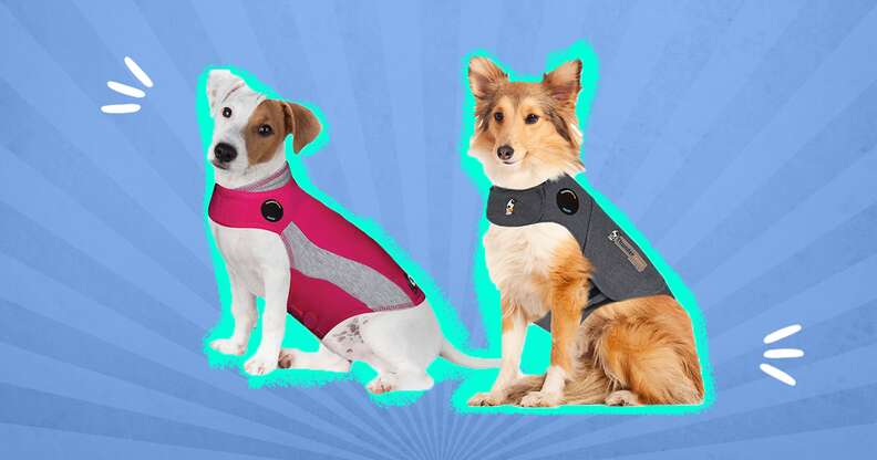 Best anxiety discount jacket for dogs