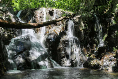 Shenandoah National Park
