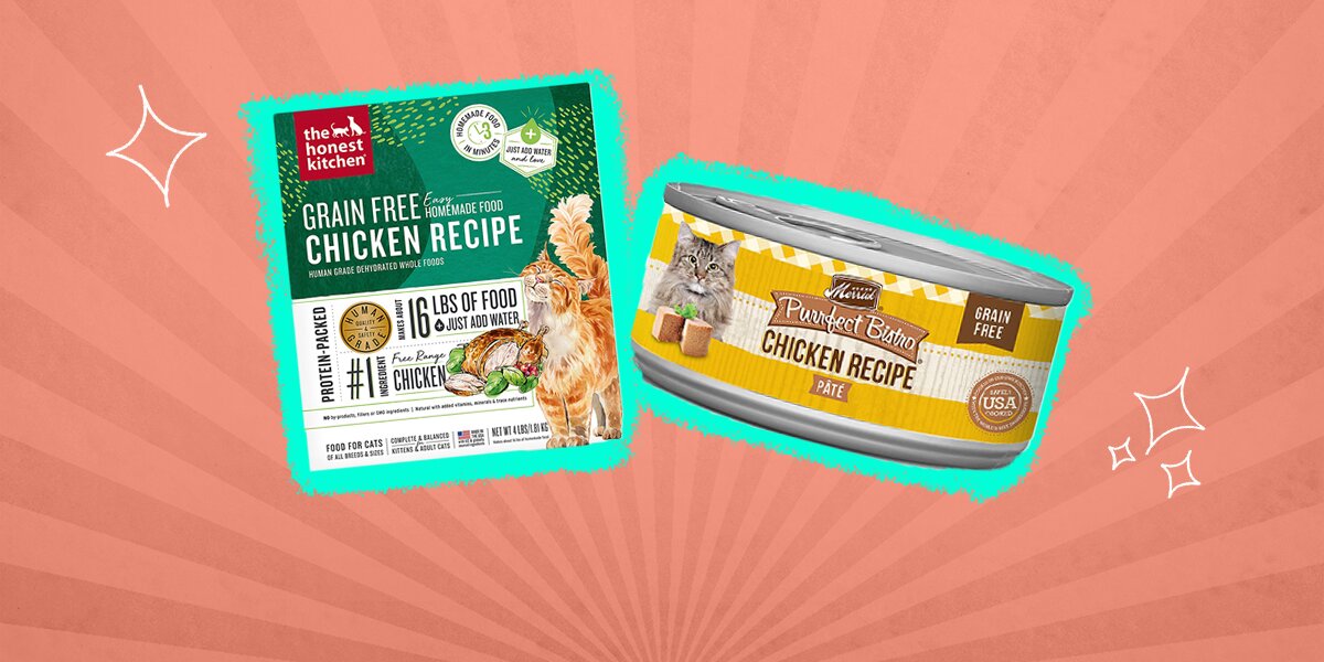 Healthy Cat Food 6 Foods That Meet The AAFCO Requirements