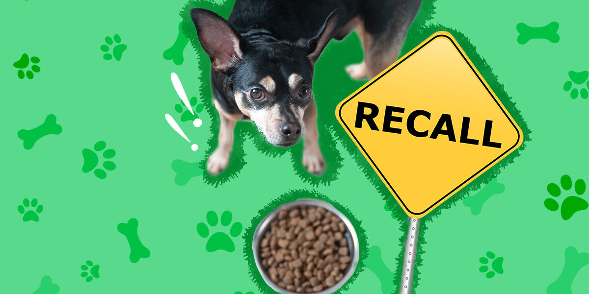 Recall dry dog hot sale food