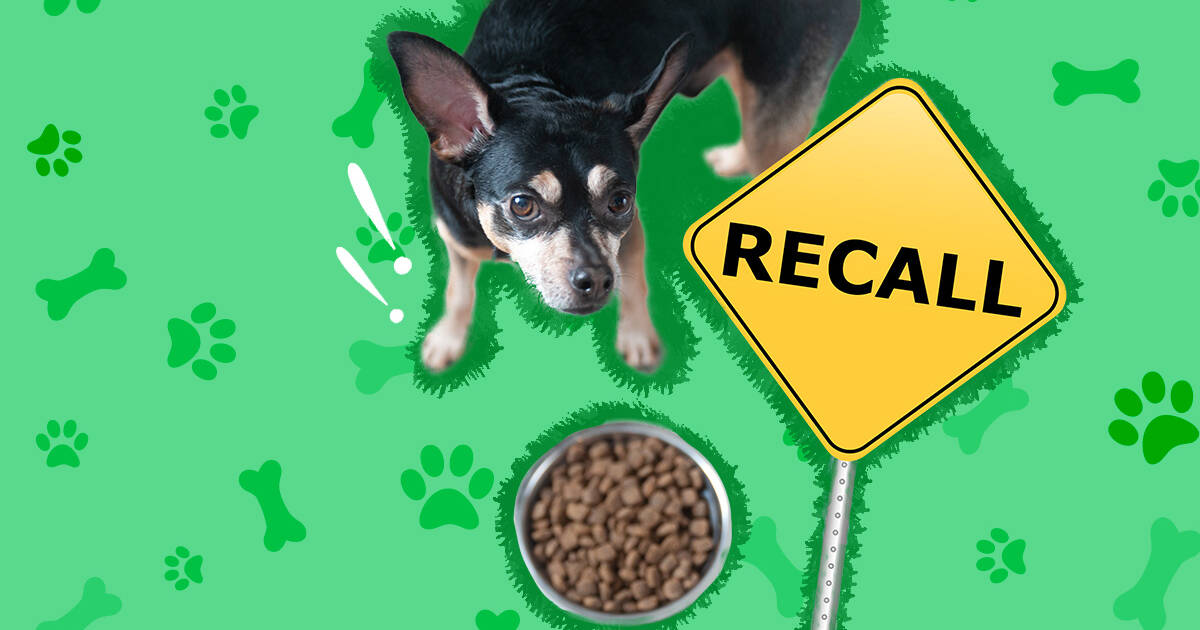 Sportsman's pride outlet dog food recall