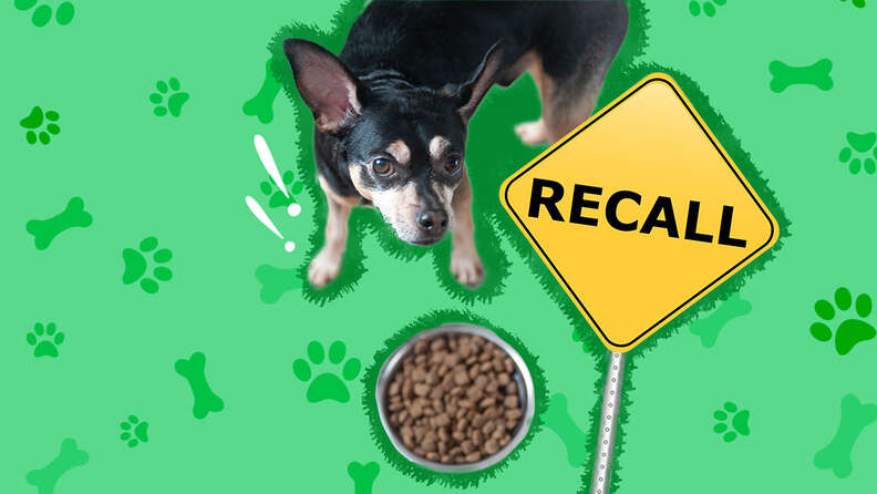 Sportsman dog 2024 food recall