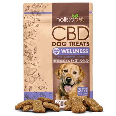 Best cbd treats for dogs sale with arthritis