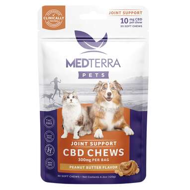 Best for multi-pet homes: Medterra CBD Joint Support