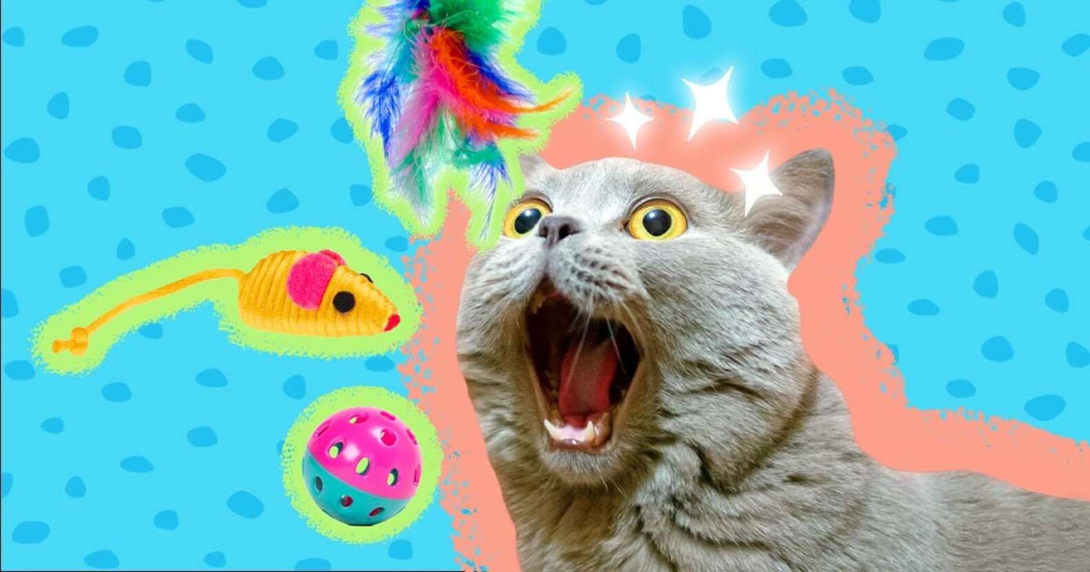 9 Best Cat Toys For Your Feline Friend DodoWell The Dodo