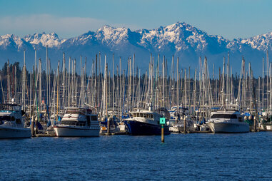 boats in Marina at Olympia, Washington with Olympic Mountains in background