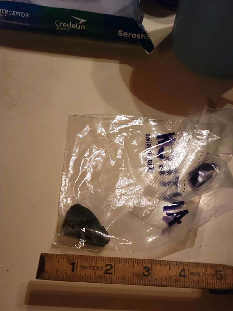 rock found inside husky