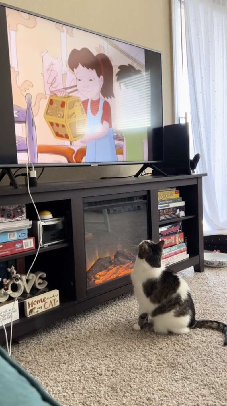 Cat Adjusts Screen Multiple Times to View Cartoon Playing on it 
