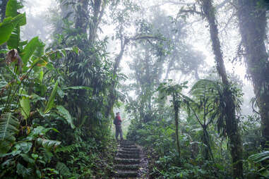 Monteverde