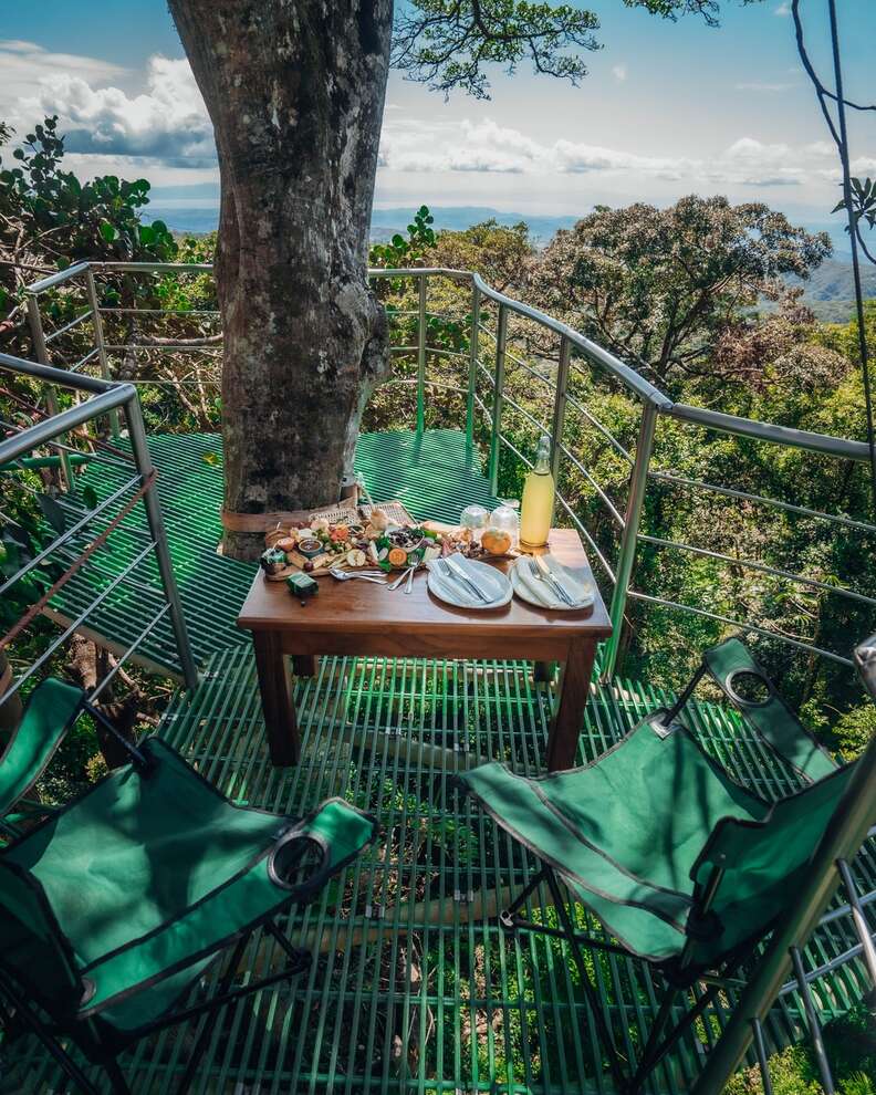 Cloud Forest