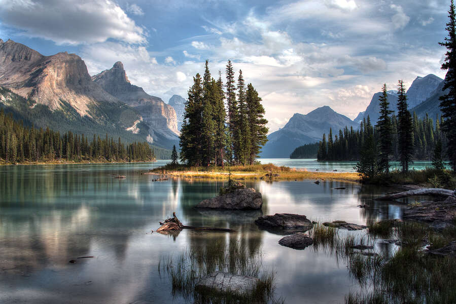 are dogs allowed in canadian national parks