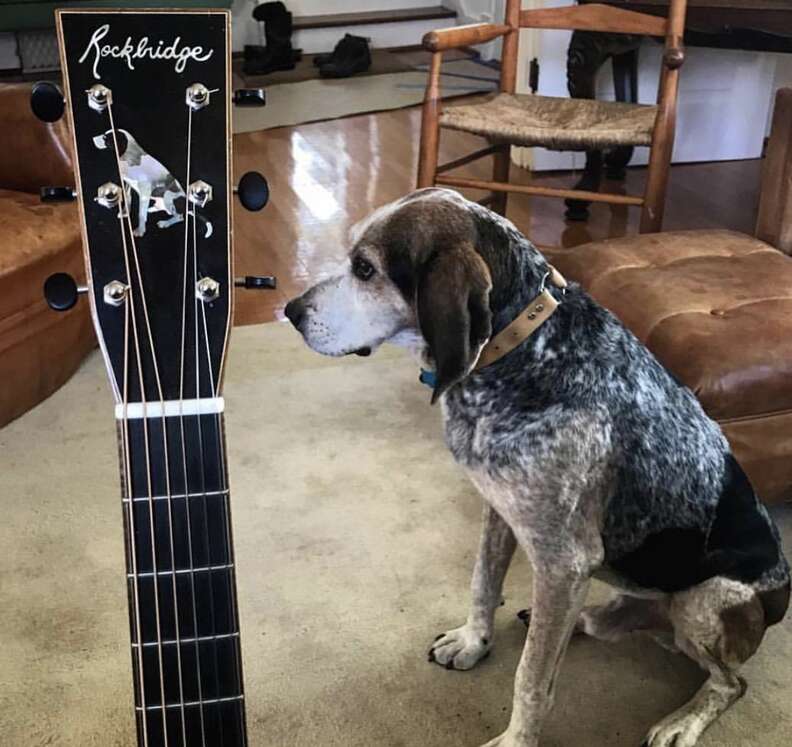 Guitar engraved with image of hound dog.