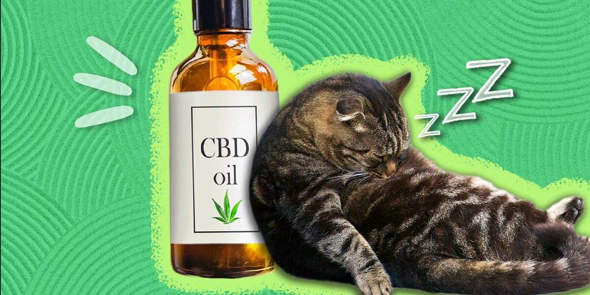 CBD Oil For Cats How To Find The Best One For Your Cat’s Pain Or