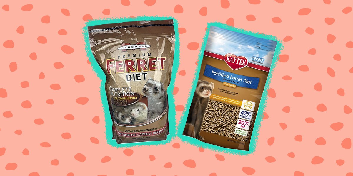 High protein top ferret food