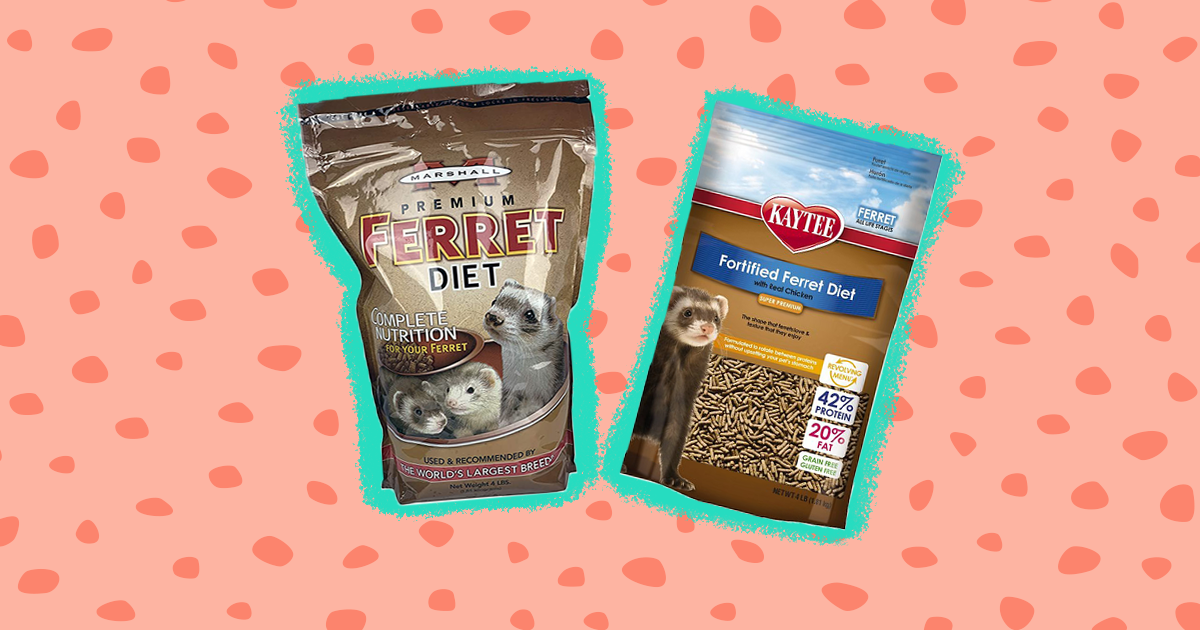 Top best sale ferret food