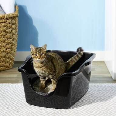 A special place for him to do his business: Nature's Miracle Just For Cats Advanced High Sided Cat Litter Box