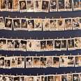A wall with photos of dogs hung on display.