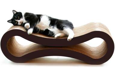 A relaxing spot to scratch: PetFusion Ultimate Cat Scratcher Lounge