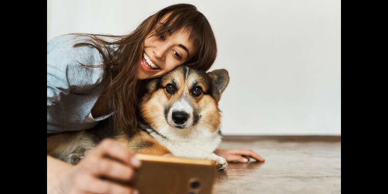 50+ Dog Instagram Captions For The Pawfect Post - DodoWell - The Dodo 50+ Dog Instagram Captions For The Pawfect Post - DodoWell - The Dodo