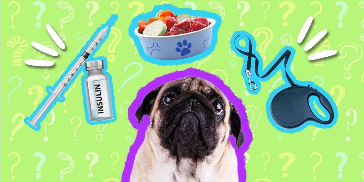 what does insulin do for dogs