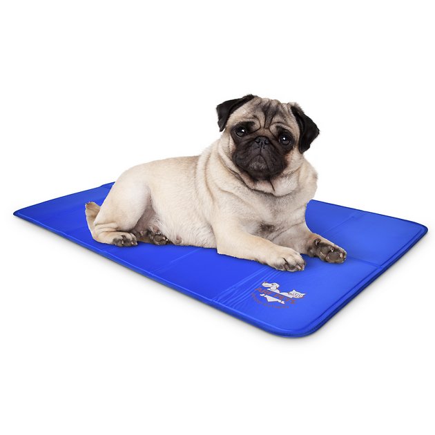 What is the best dog cooling clearance mat