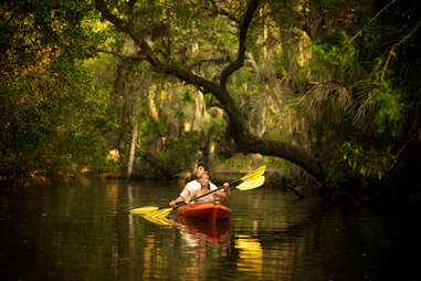 kayak mangroves