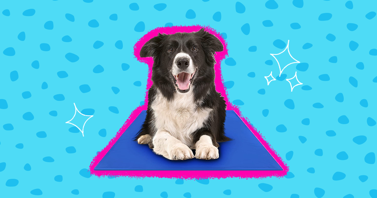 Best pet cooling outlet mat