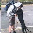 Dog walker kisses black dog.