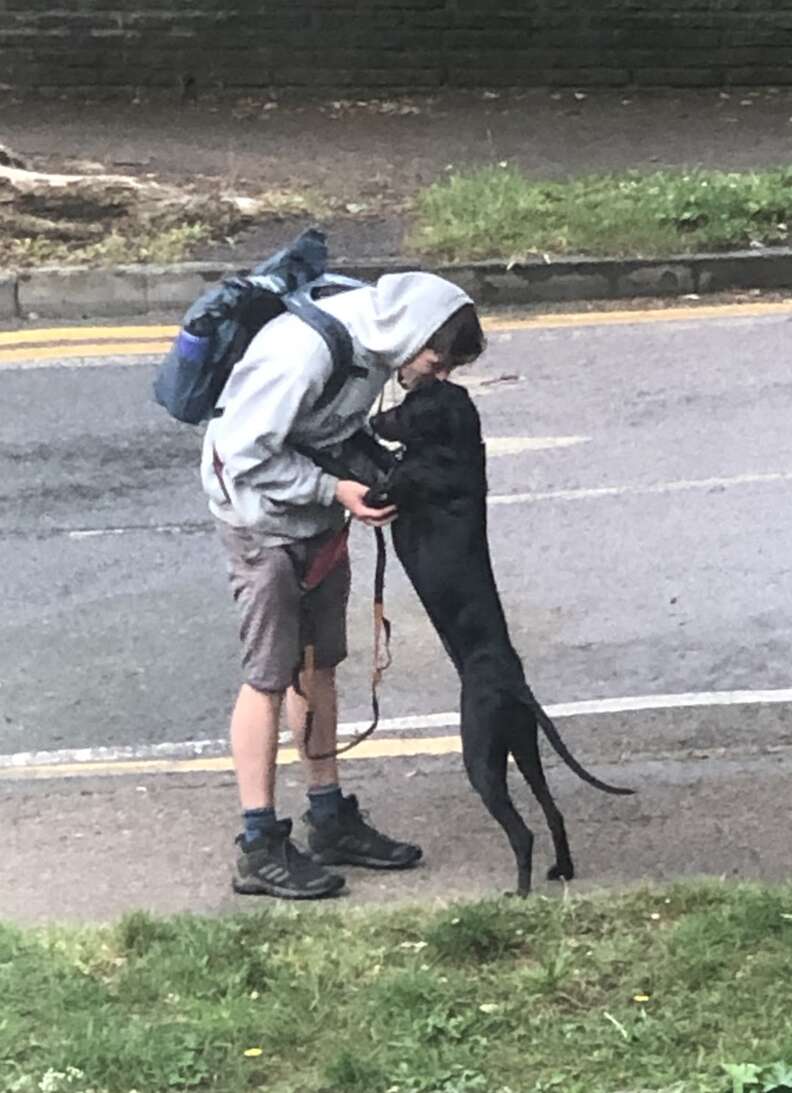 Dog walker kisses a black dog.