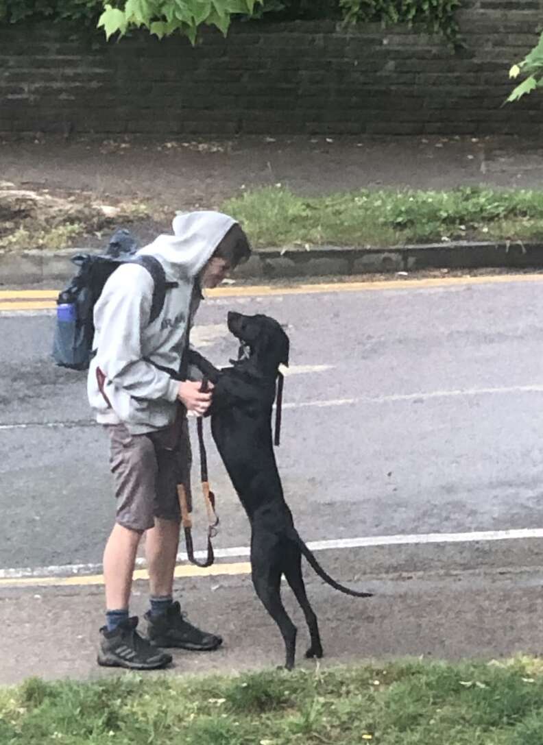 Dog walker holds black dog's paws.