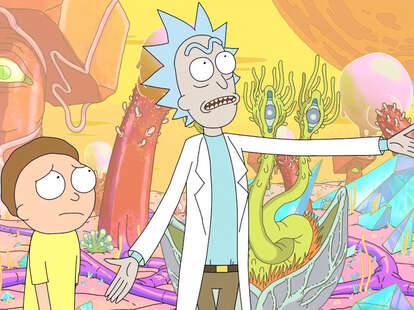 rick and morty in rick and morty