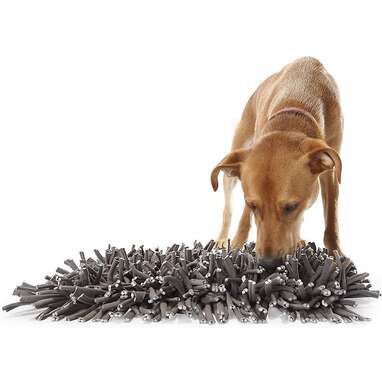 Snuffle Mat For Dogs: The 5 Best Options That Will Actually Keep