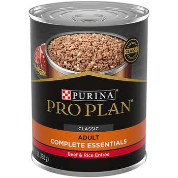 Healthy canned dog food hotsell