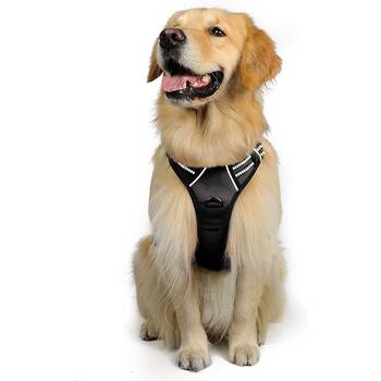 Best clearance joring harness