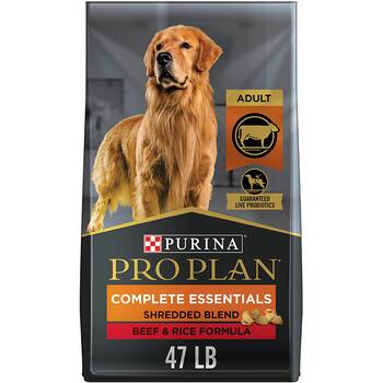 Best dog food outlet for golden retriever