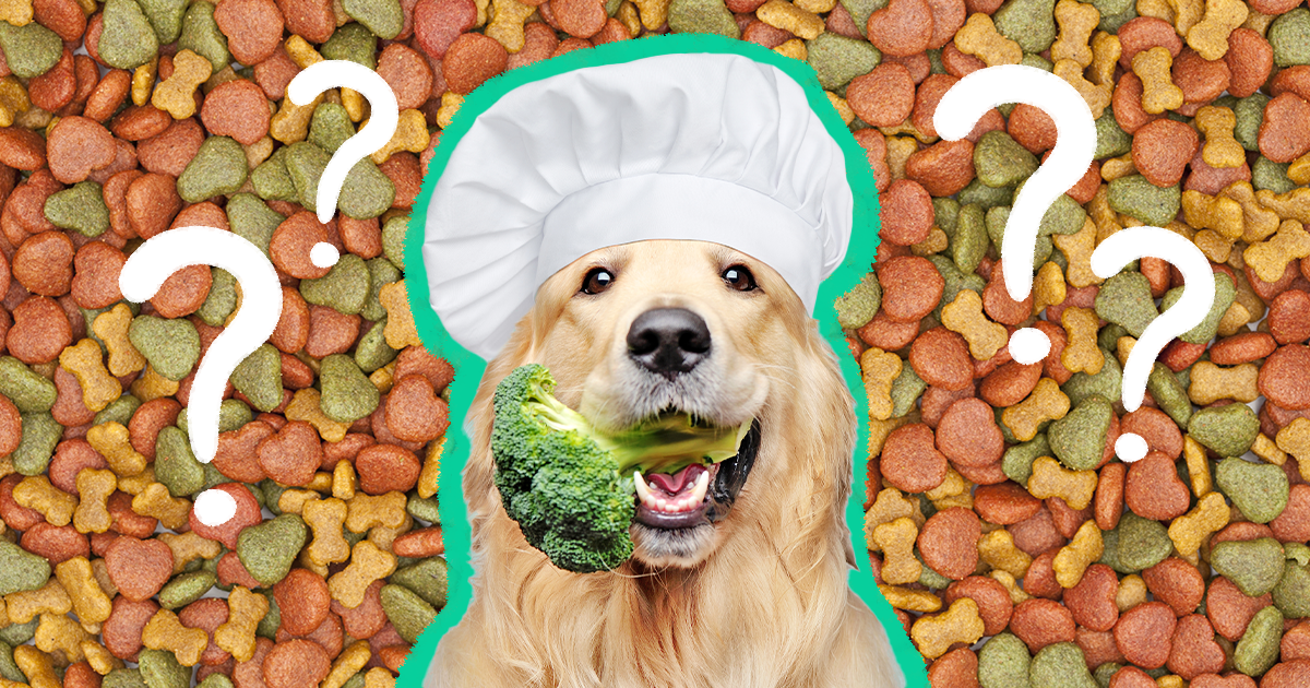 Dog foods deals to avoid