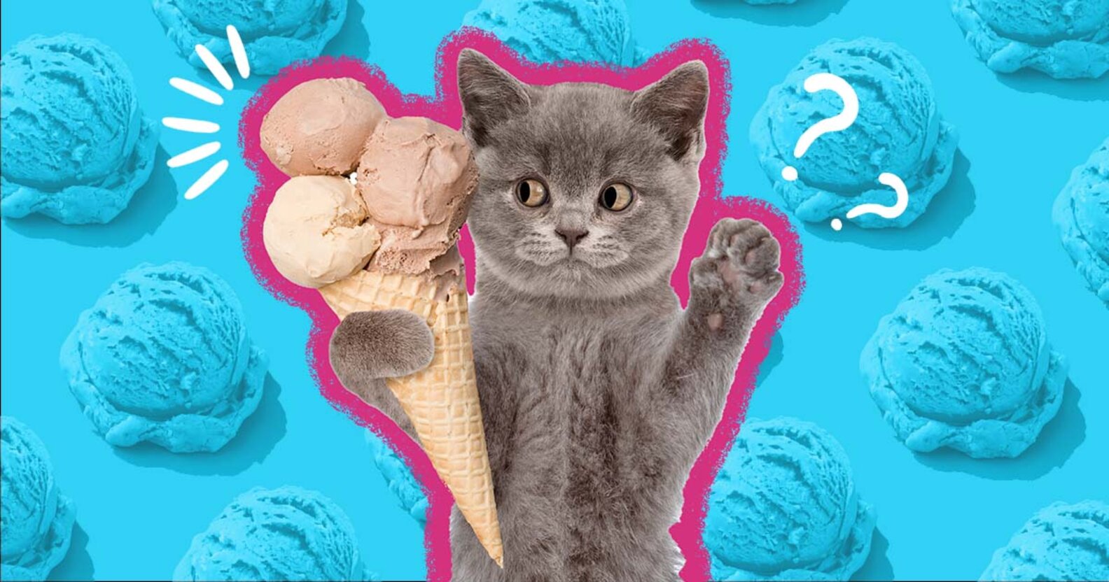 Can Cats Eat Ice Cream, And Does Specially Made ‘Cat Ice Cream’ Exist? DodoWell The Dodo