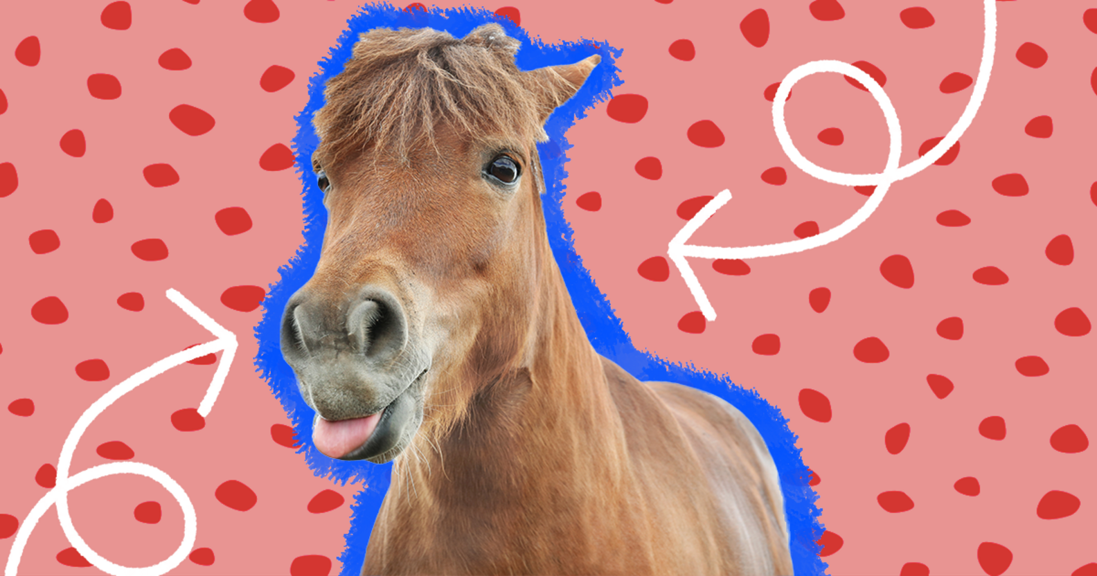 30 Horse Jokes To Tell Your Friends And Neighbors DodoWell The Dodo