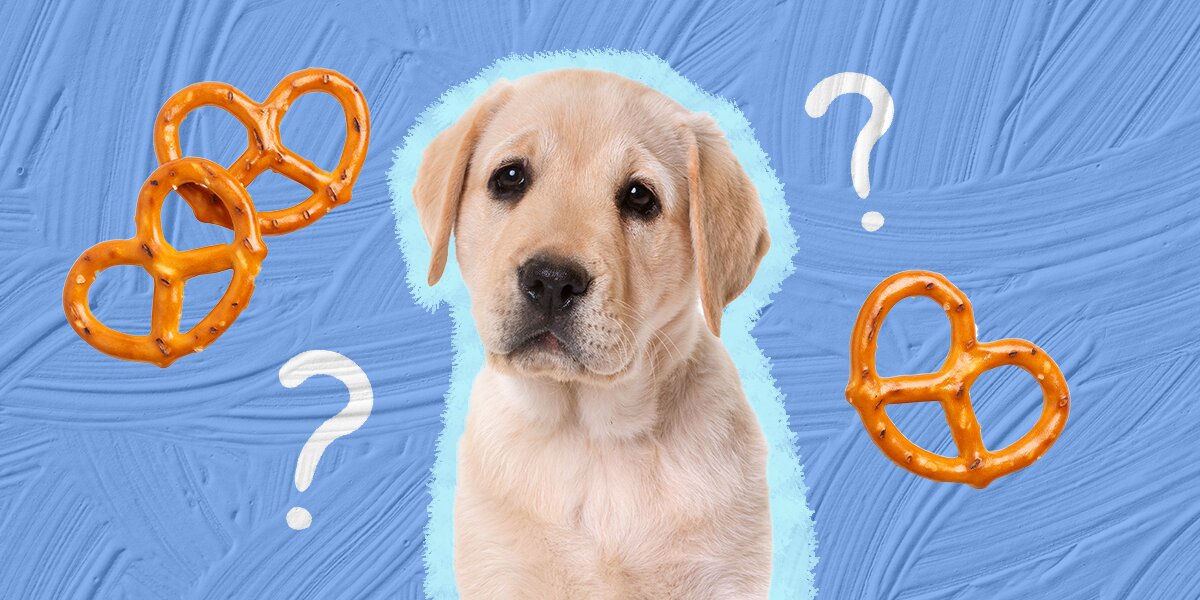 Are pretzels hot sale ok for dogs