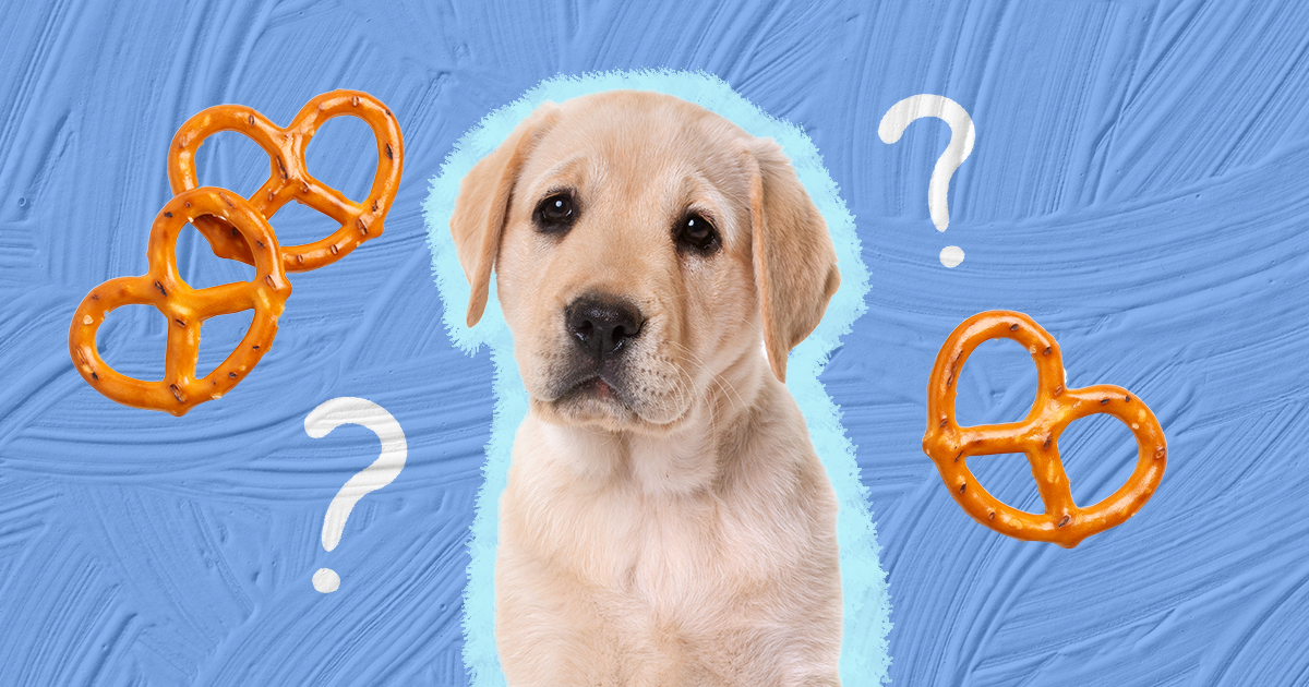 Are pretzels hot sale bad for dogs