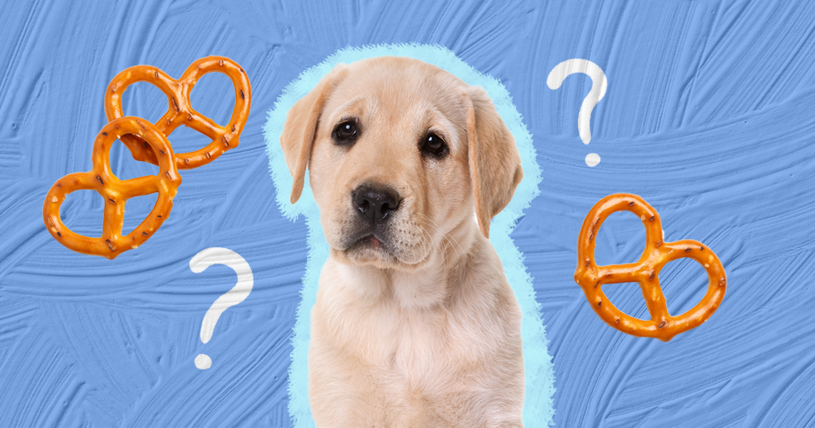 Can Dogs Eat Pretzels? And What Amount Is Safe? DodoWell The Dodo