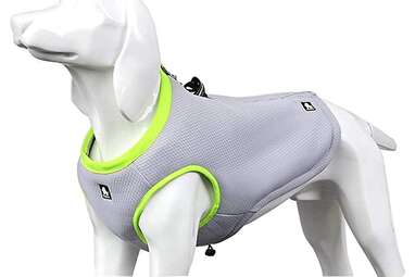 how do dog cooling vests work