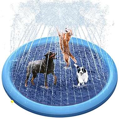 A sprinkler pad to keep your pup cool: Peteast Splash Sprinkler Pad for Dogs