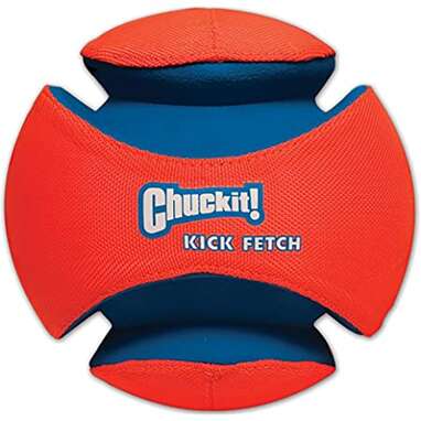 A big ball that will make fetching extra fun: Chuckit! Fetch Toy