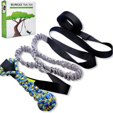 A bungee rope that lets your dog play on his own: LOOBANI Outdoor Bungee Tug Toy