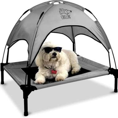 Best canopy: Floppy Dawg Just Chillin' Elevated Dog Bed
