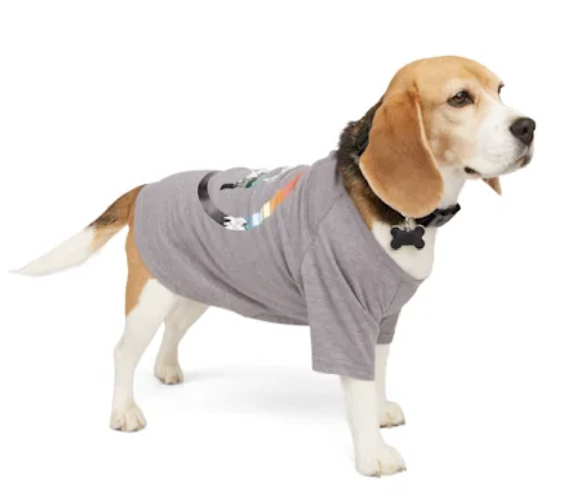 Best sun shirt for sales dogs