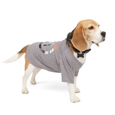 Best brand collaboration: Backcountry x Petco The Sun Shield Dog T-Shirt